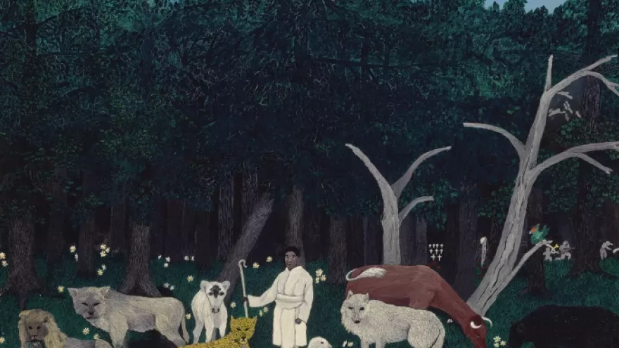 man and animals in forest